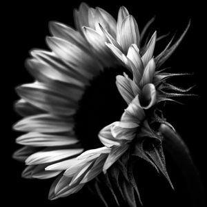 Meet your Posher, Karla